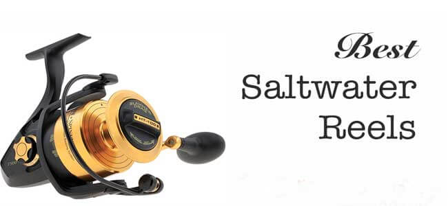 Best Saltewater Reels