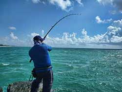 Jupiter Inlet Florida