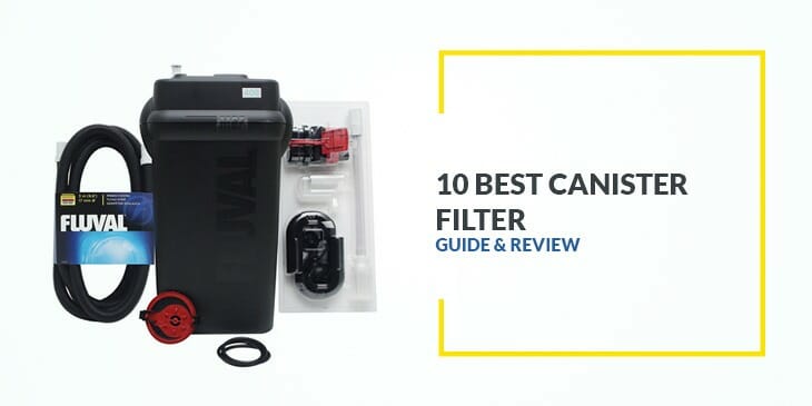 10 Best Canister Filter