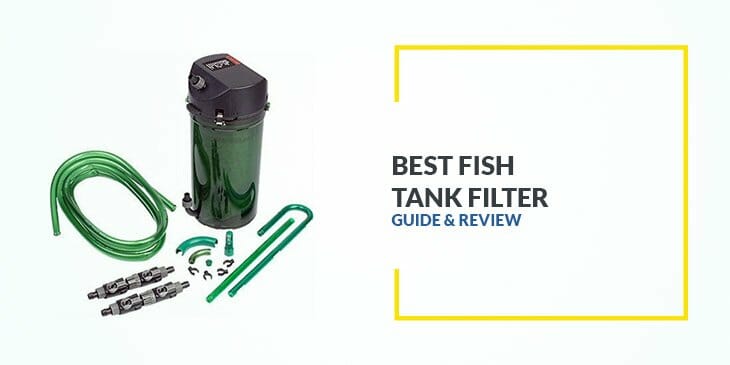 Best Fish Tank Filter