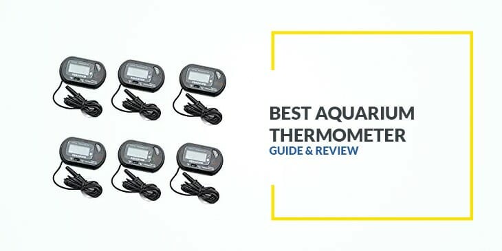 Best Aquarium Thermometer