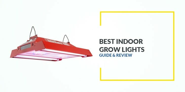 Best Indoor Grow Lights