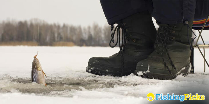 Best Ice Fishing Boots