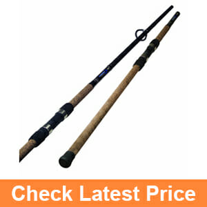 Okuma Longitude Surf Graphite Rods