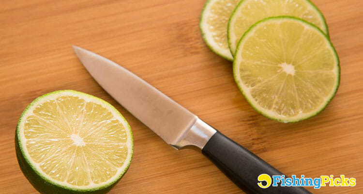 Best Paring Knife