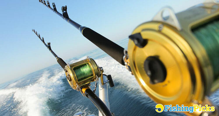 Best Trolling Reels