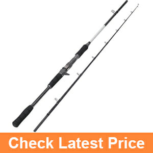 Fiblink Saltwater Baitcasting Rod