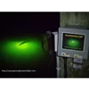 Green Glow Dock Light