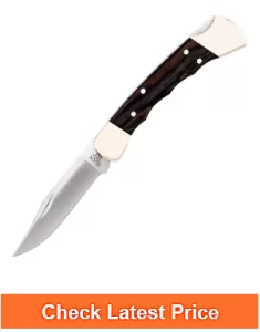 Buck Knives 110 Folding Hunter Knife