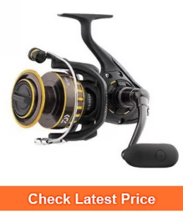 Daiwa BG Spinning Reel