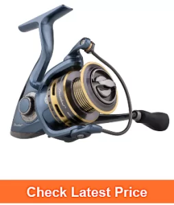 Pflueger President Spinning Reel