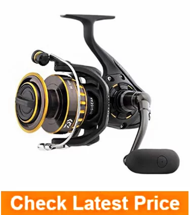 Daiwa Bg Spinning Reel