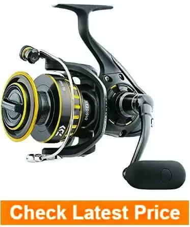 Daiwa-BG8000-BG-Saltwater-Spinning-Reel