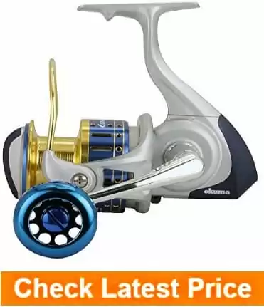 Okuma-Cedros-High-Speed-Spinning-Reel